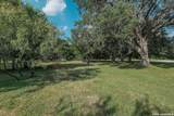 802 Celosia - Photo 27