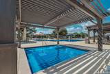 802 Celosia - Photo 28