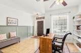 802 Celosia - Photo 3