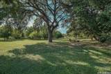 802 Celosia - Photo 31