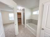 928 Red Merganser - Photo 9