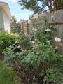 106 Wainscot Oak Way - Photo 52