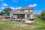 28906 Balcones Crk - Photo 73