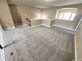 26934 Oleander Chase - Photo 45