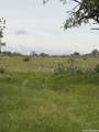 6038 County Road 405 - Photo 5