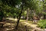 127 White Tail Dr - Photo 19