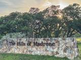 3513 Us Highway 281 - Photo 1