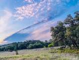3513 Us Highway 281 - Photo 16