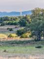 3513 Us Highway 281 - Photo 2