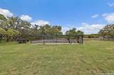 3513 Us Highway 281 - Photo 58