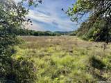 3513 Us Highway 281 - Photo 72