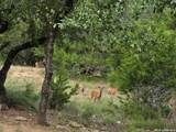 189 Eagle Crest - Photo 64