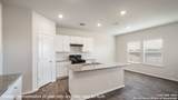 10742 Dazzle - Photo 5