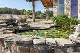 290 Japonica Road - Photo 76