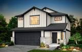 8234 Brandy Branch - Photo 1