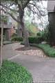 51 Chapel Hill Cir - Photo 3