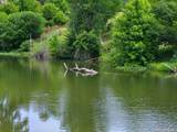 200 Oak Valley Dr - Photo 47