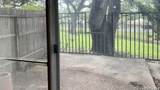 8915 Datapoint Dr - Photo 21