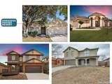 8422 Whitebrush - Photo 30