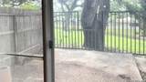 8915 Datapoint Dr - Photo 13