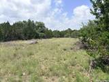 128 Coneflower Dr - Photo 10