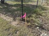 128 Coneflower Dr - Photo 31