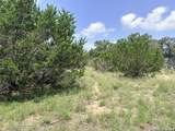 128 Coneflower Dr - Photo 8