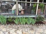 625 Second St - Photo 34