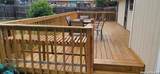 8901 Timber Cut - Photo 3