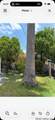 1026 Gibbs - Photo 4