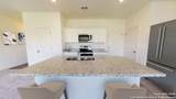 7527 Cottontail Cliff - Photo 3