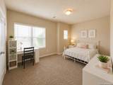 13848 Bellows Path - Photo 19