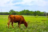 3350 Fm 1104 - Photo 49