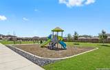 13531 Lily Lane - Photo 41