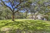 8621 Classic Oaks Ln - Photo 41