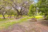 15106 Circle Oak - Photo 28