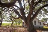 4901 Lower Seguin (5 Acres) Rd - Photo 25