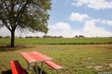 4901 Lower Seguin (5 Acres) Rd - Photo 34