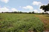 4901 Lower Seguin (5 Acres) Rd - Photo 35