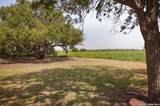 4901 Lower Seguin (5 Acres) Rd - Photo 36