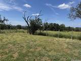 1864 Panther Hollow - Photo 13