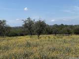 1864 Panther Hollow - Photo 6