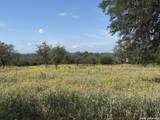 1864 Panther Hollow - Photo 7