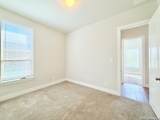 12014 Tower Creek - Photo 11