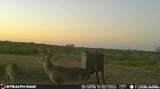 00 County Road 153 - Photo 1