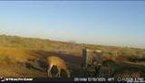 00 County Road 153 - Photo 26