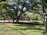 24842 Fairway Springs - Photo 31