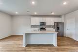 14626 Emerio Dr - Photo 9