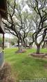 955 Faurie - Photo 18