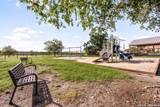 6619 Lantana Sun - Photo 47